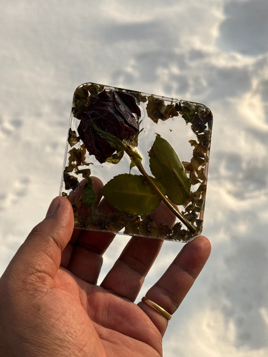 Preserved Rose and Foliage Resin Coaster