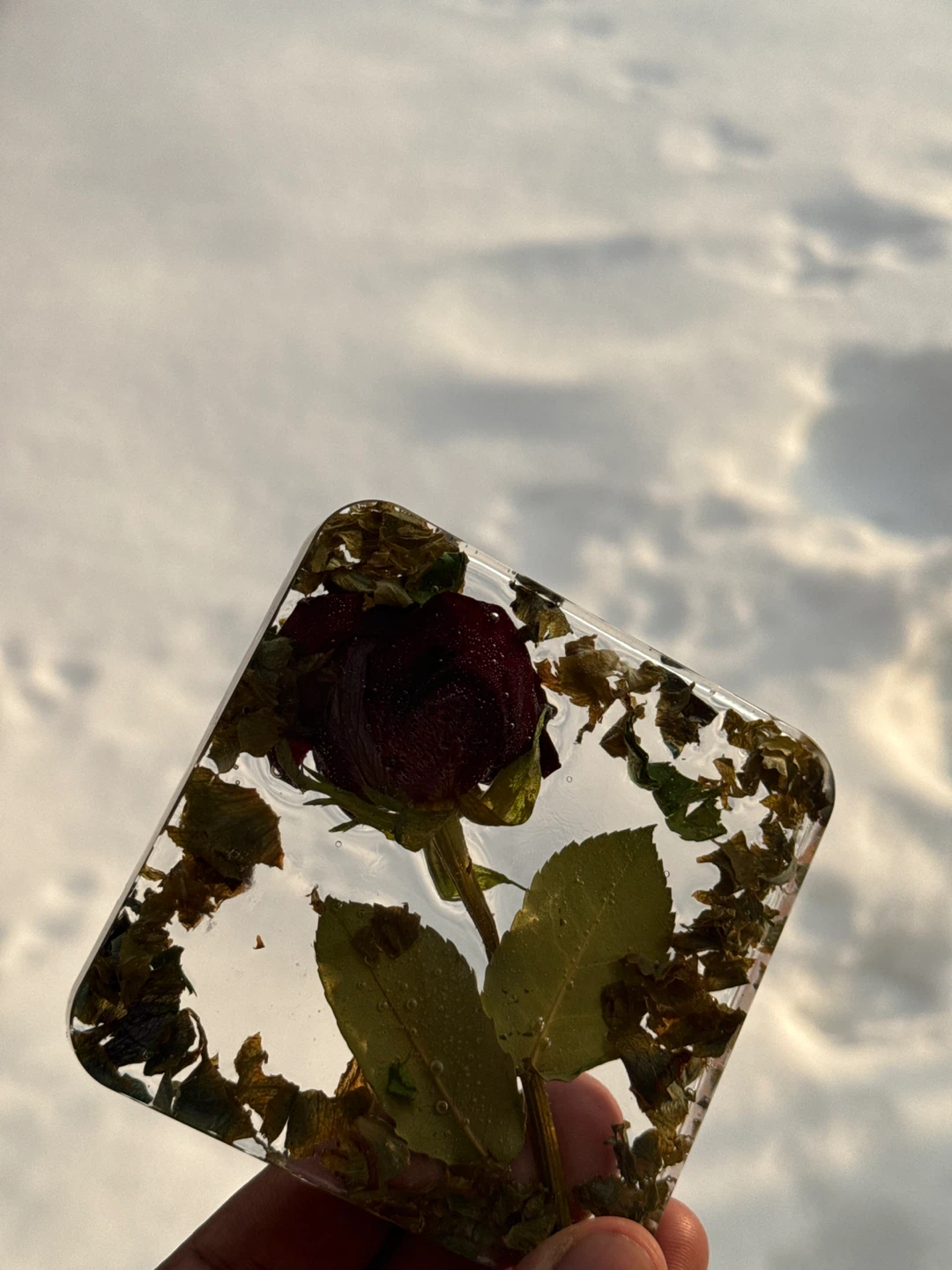Preserved Rose and Foliage Resin Coaster - photo 3