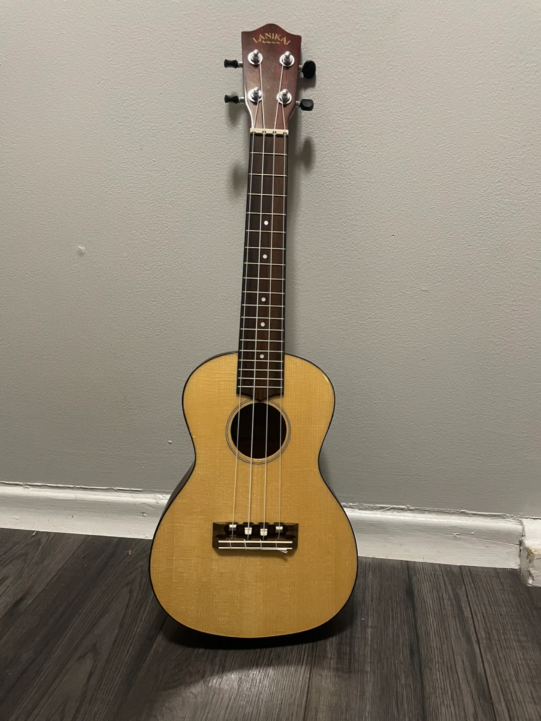 Ukulele with bag