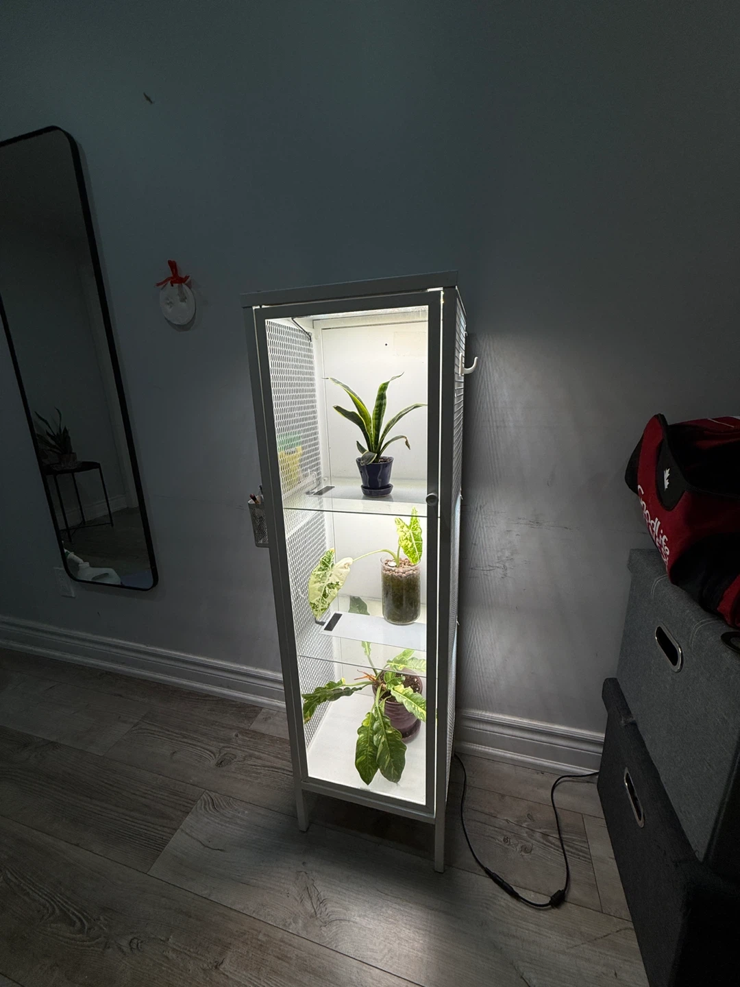 Plant display cabinet with grow lights