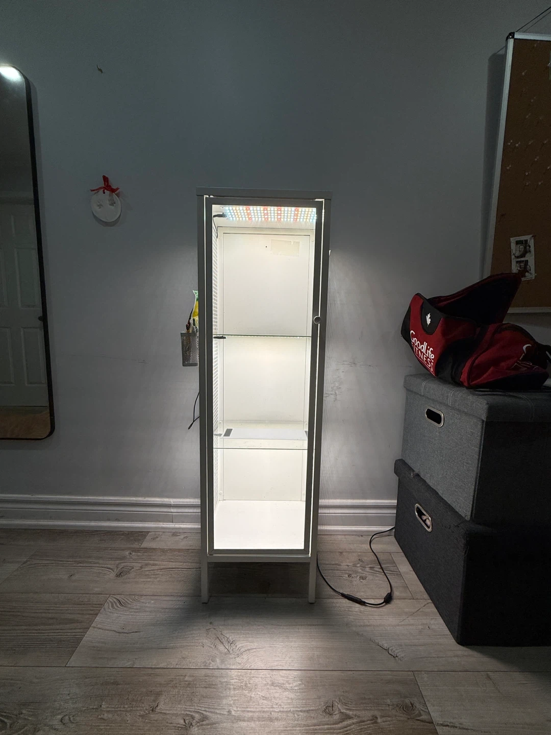 Plant display cabinet with grow lights - photo 3