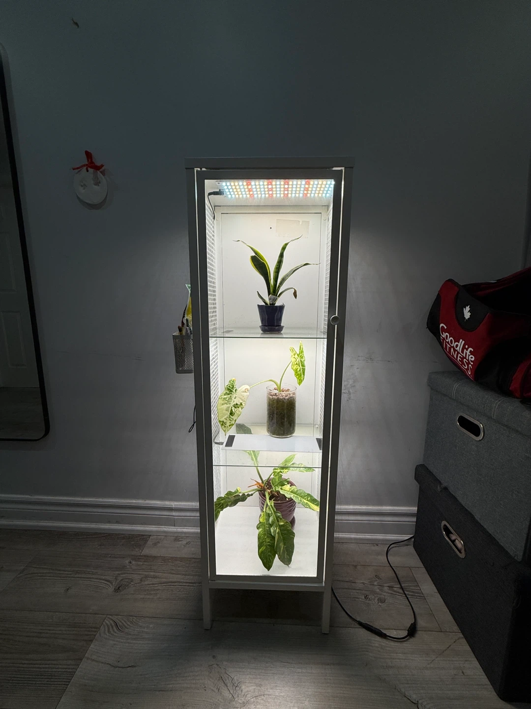 Plant display cabinet with grow lights - photo 2