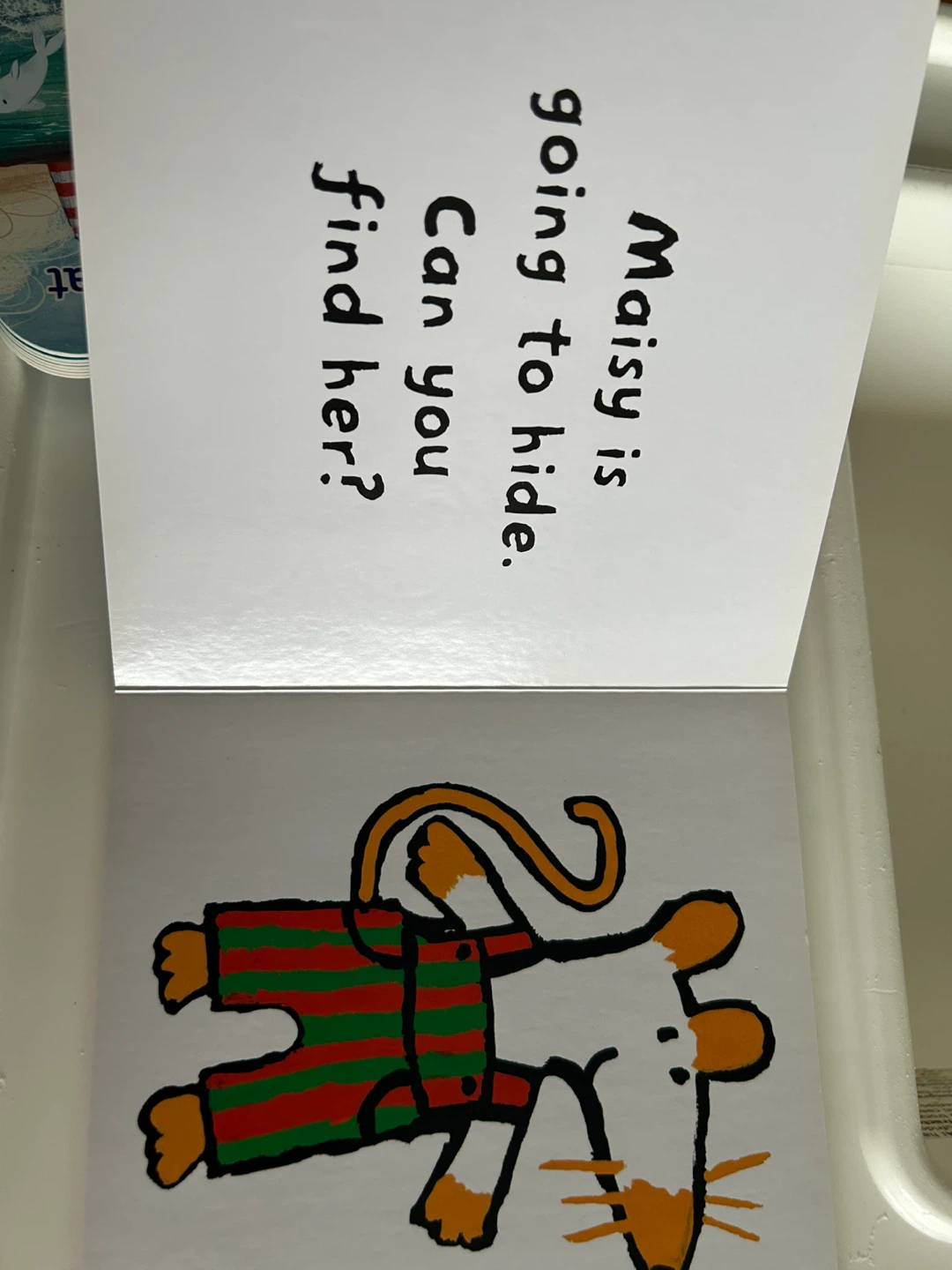 Where is Maisy? Lift the Flap Book - photo 2