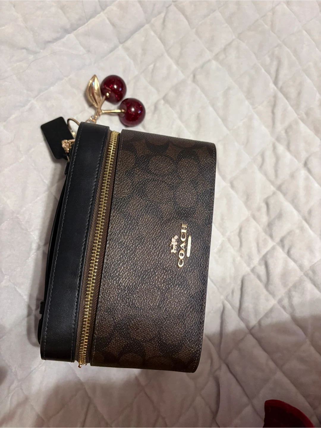 Coach Signature Vanity Case With Cherry Charm