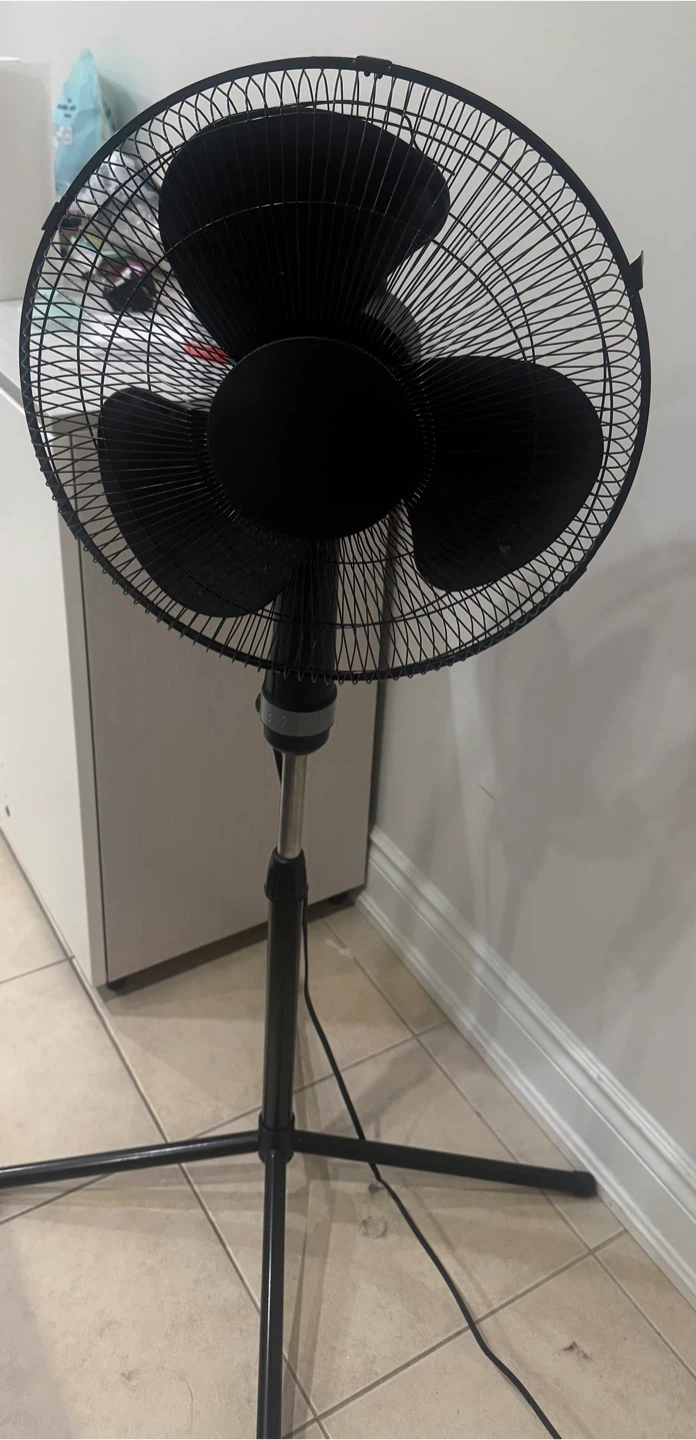 Black Standing Fan