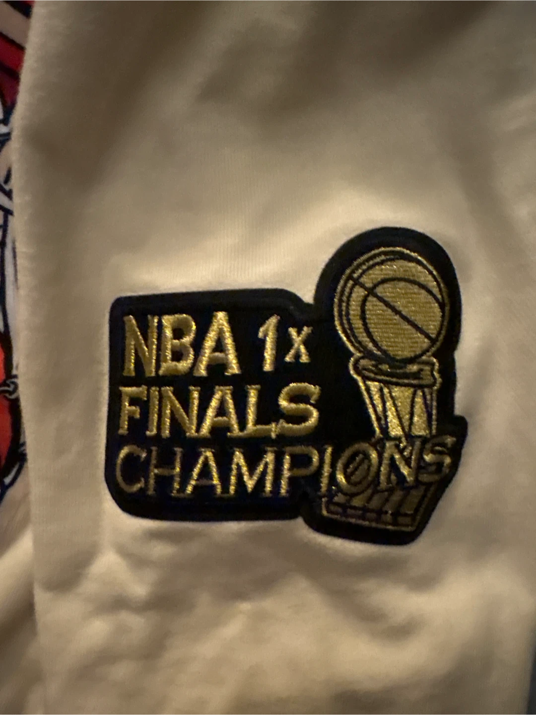 Toronto Raptors 1x NBA Finals Champions Hoodie - photo 2