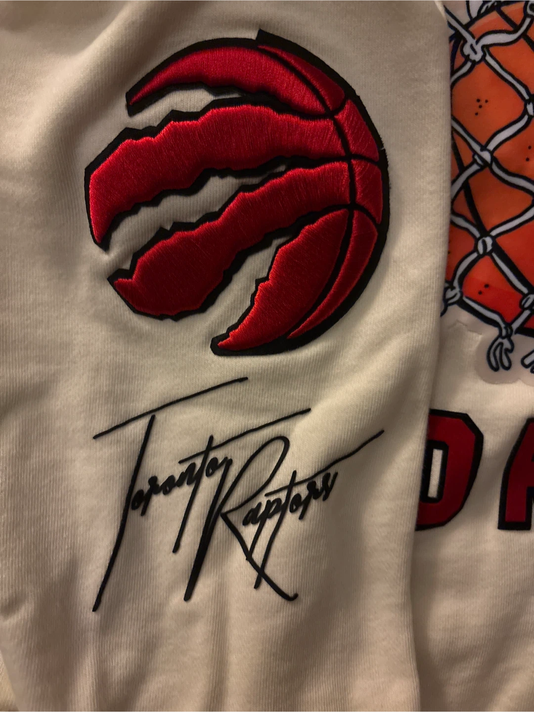 Toronto Raptors 1x NBA Finals Champions Hoodie - photo 3