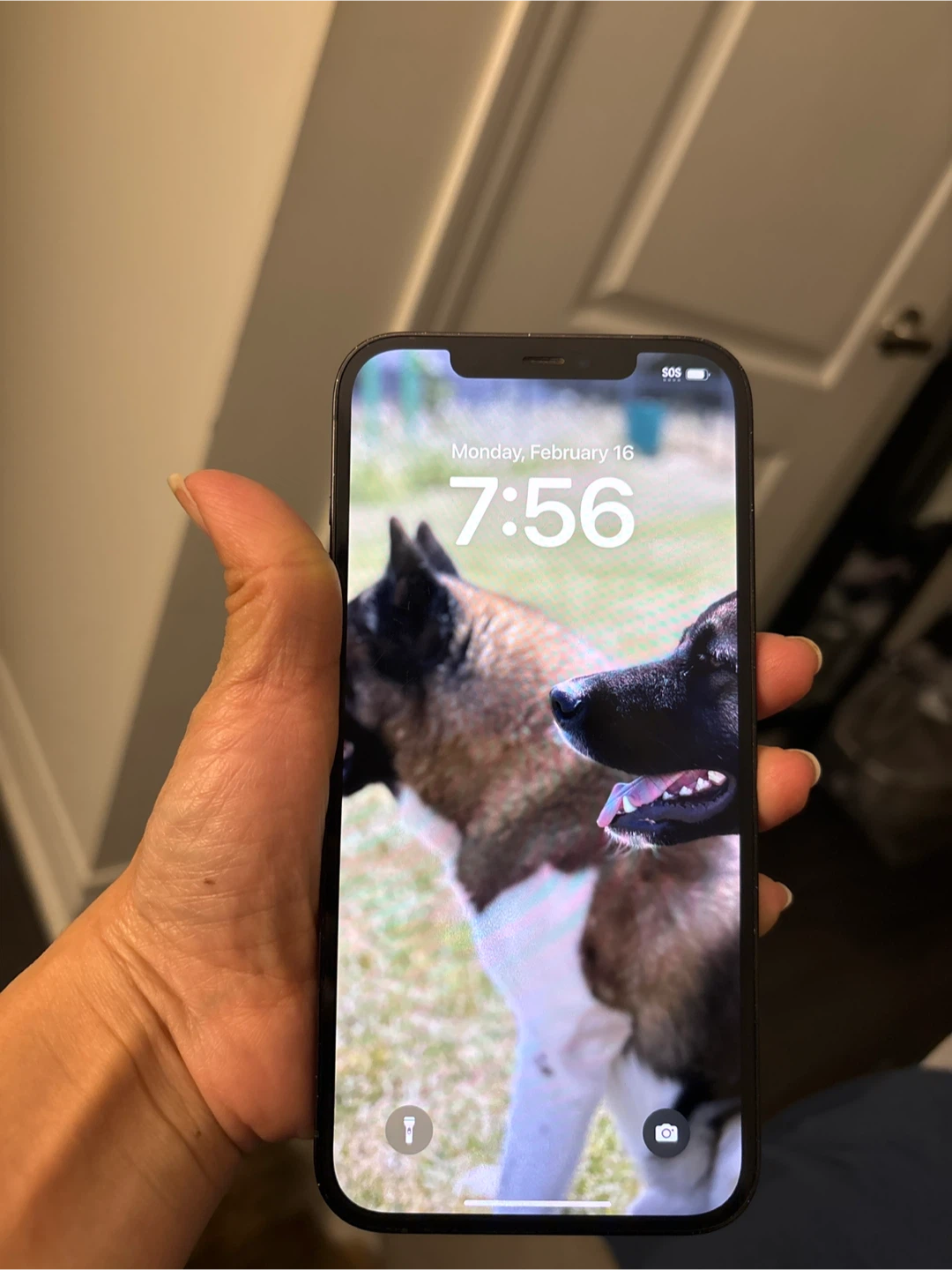 iPhone 12 Pro Pacific Blue - photo 3