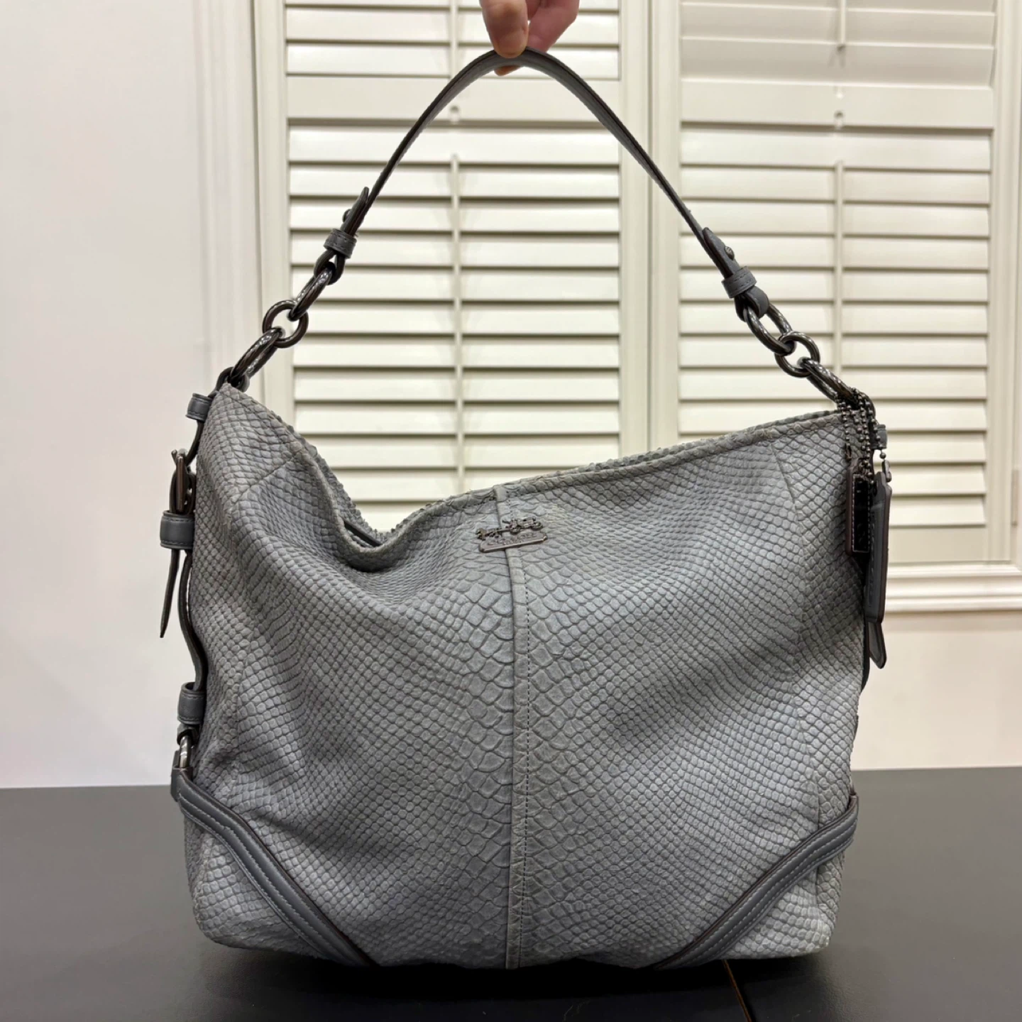 Coach Katarina Slouchy Hobo Grey Snakeskin/Python Embossed Bag
