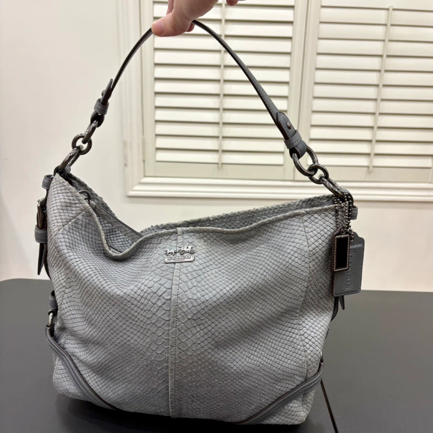 Coach Katarina Slouchy Hobo Grey Snakeskin/Python Embossed Bag - photo 2