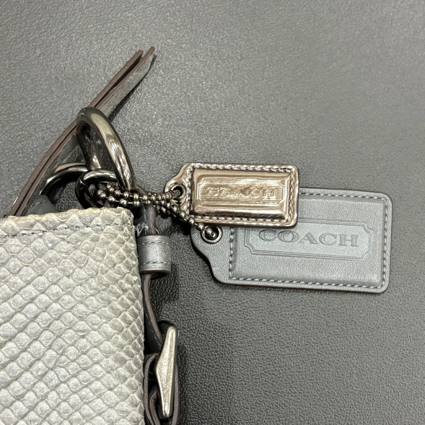 Coach Katarina Slouchy Hobo Grey Snakeskin/Python Embossed Bag - photo 4