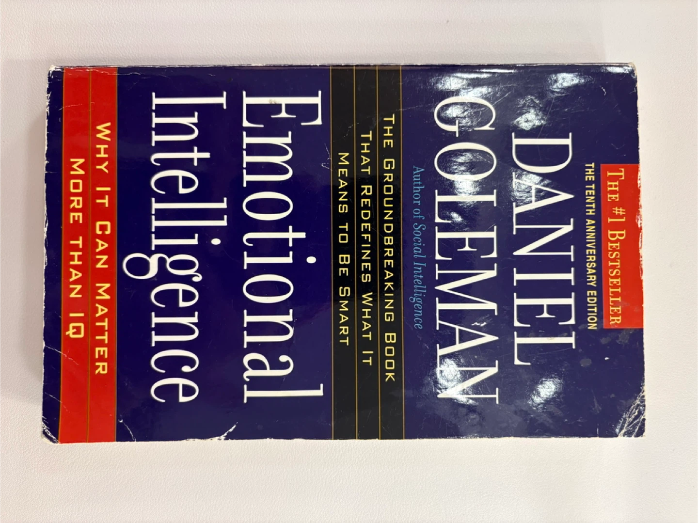 Emotional Intelligence by Daniel Goleman - photo 3