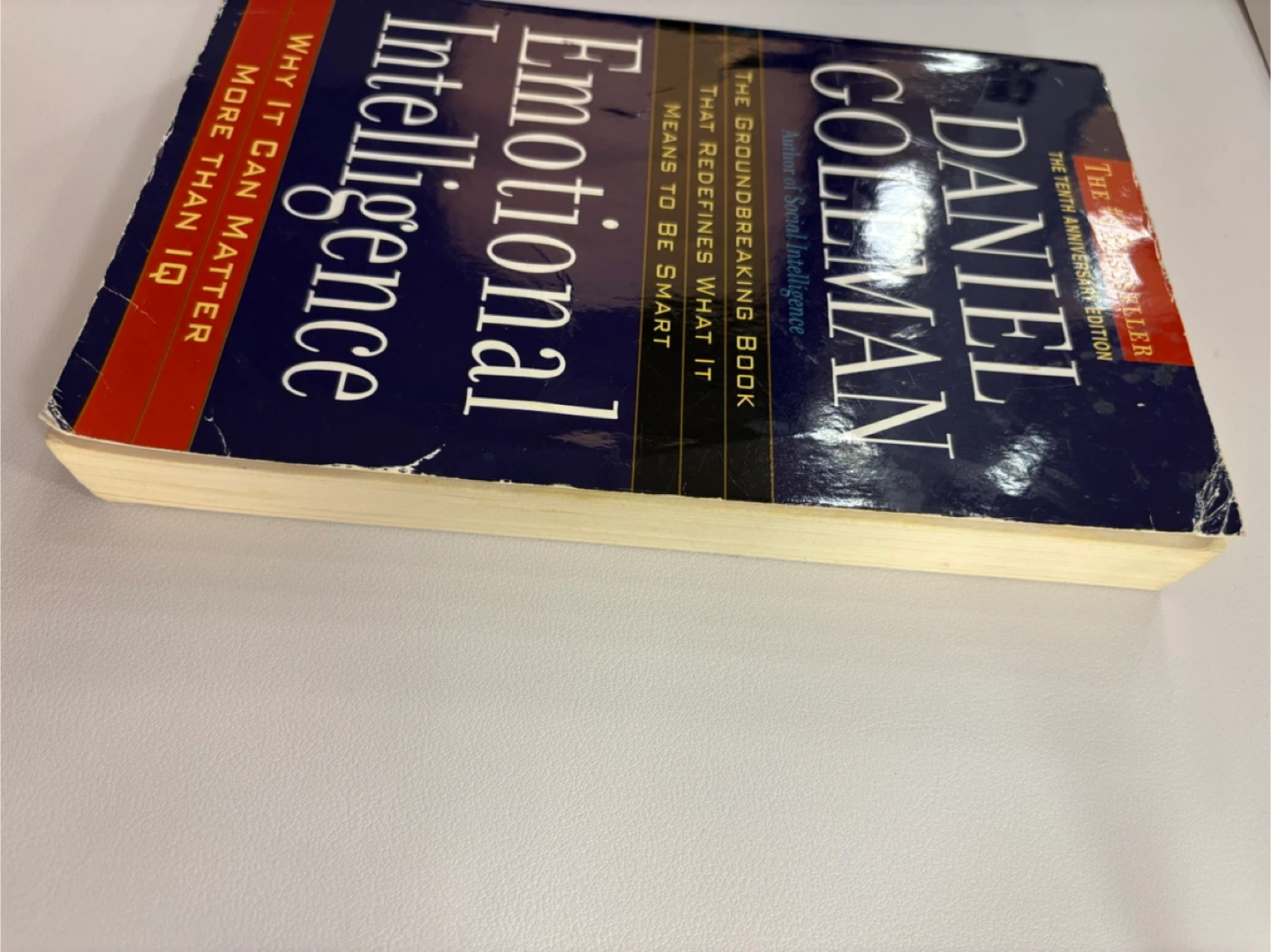 Emotional Intelligence by Daniel Goleman - photo 2