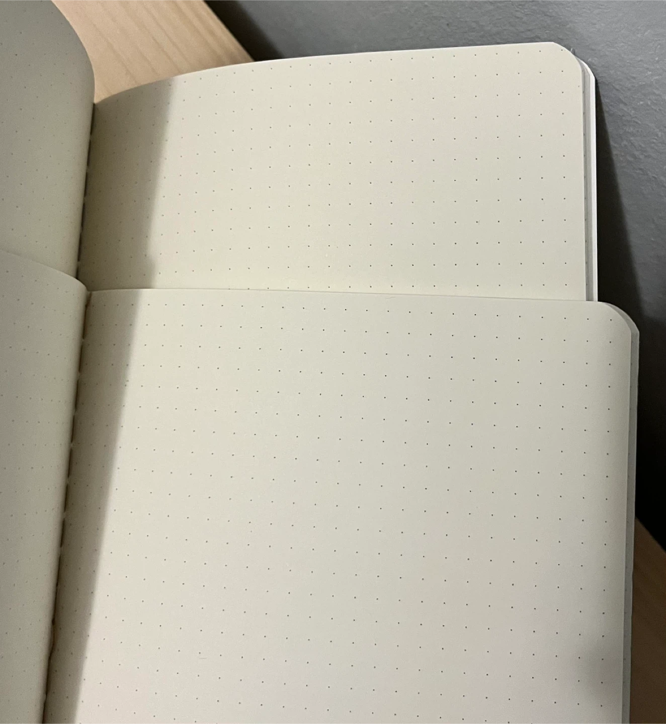 Dot grid notebooks - photo 2