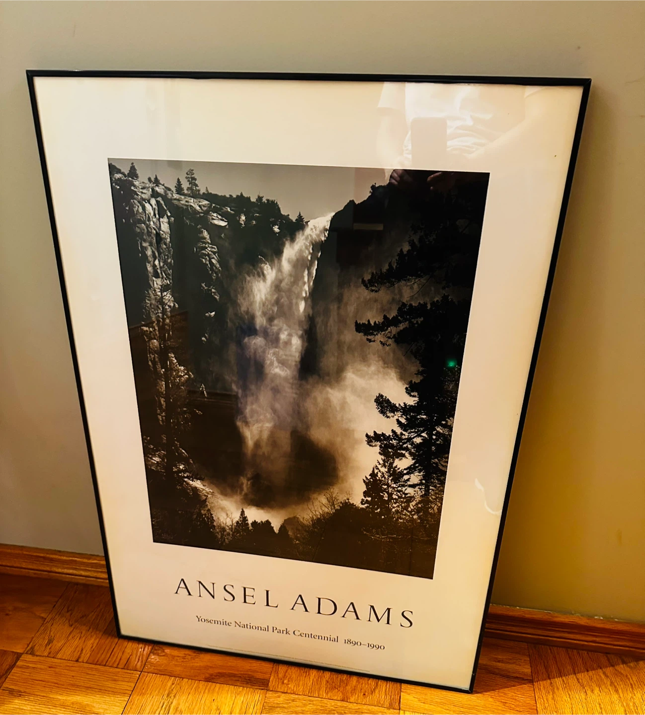 Ansel Adams Yosemite National Park Centennial Poster