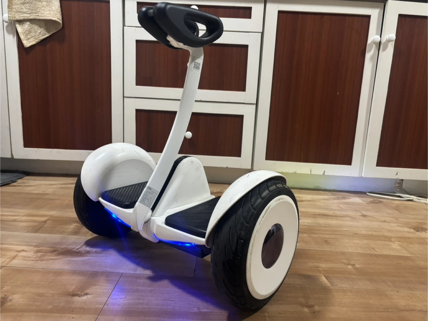 Segway Ninebot S - photo 4