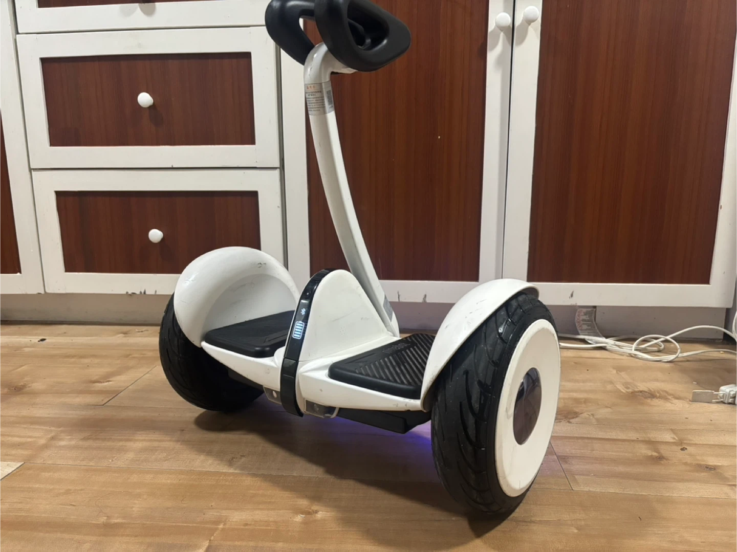 Segway Ninebot S - photo 5
