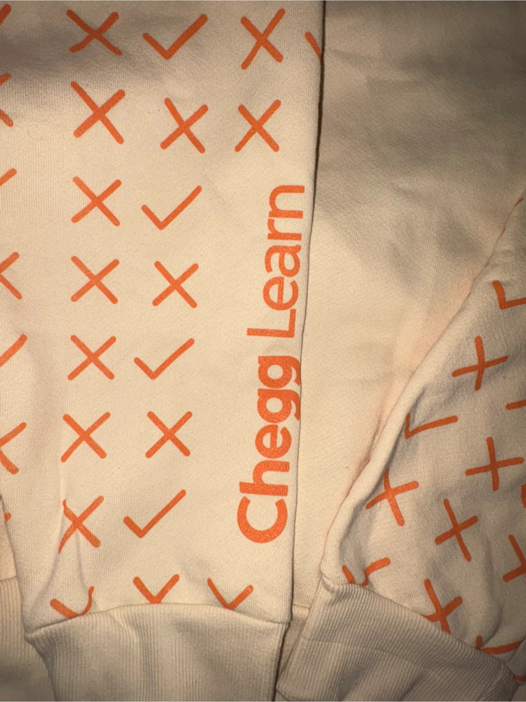 Chegg Learn "Study Buddy" Hoodie - Size L - photo 5