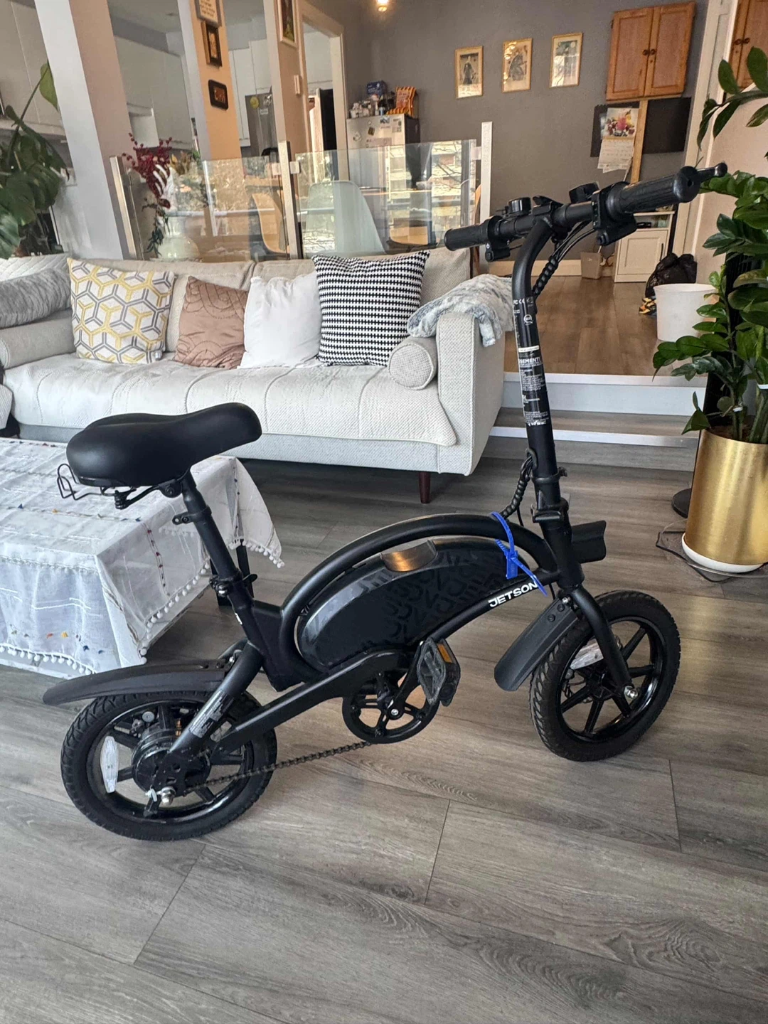 Jetson Bold Up Adult Electric Ride-On