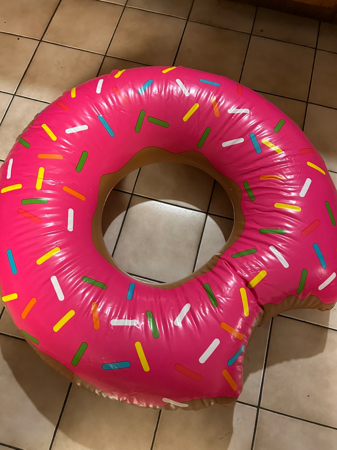 Inflatable Donut Pool Float