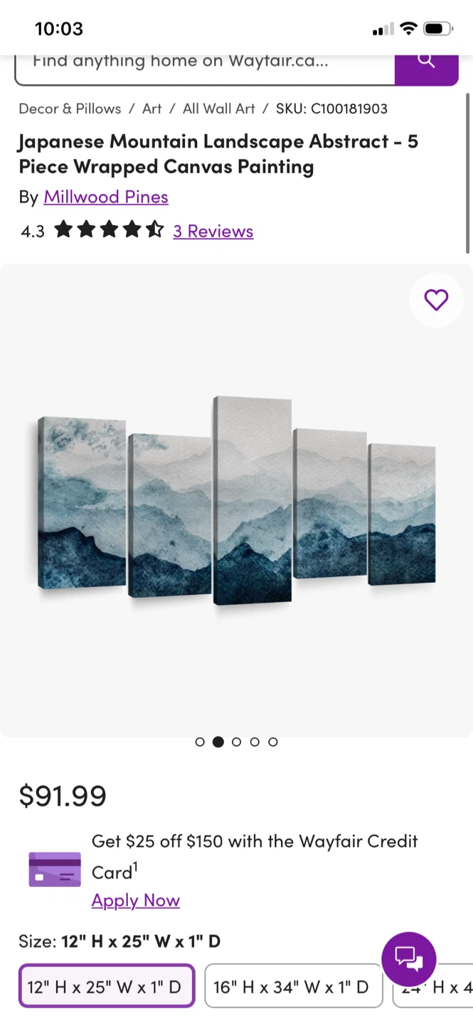 Painting from Wayfair