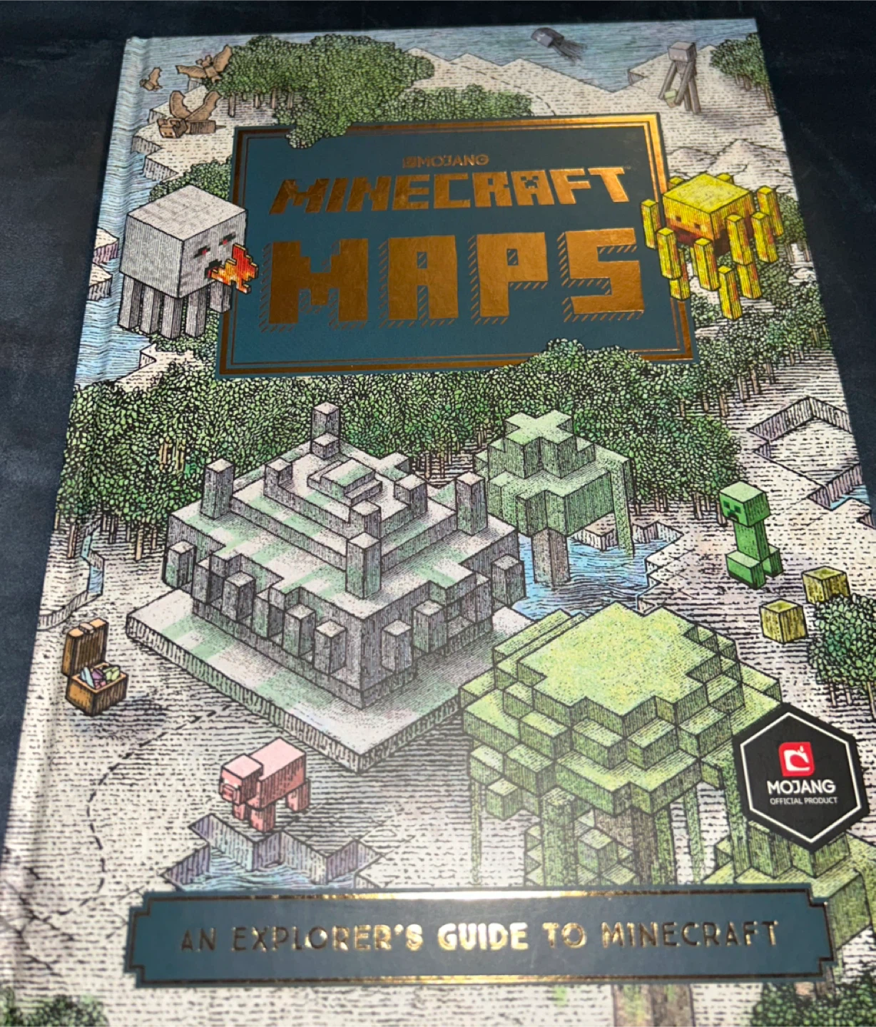 Minecraft Maps: An Explorer's Guide to Minecraft Book