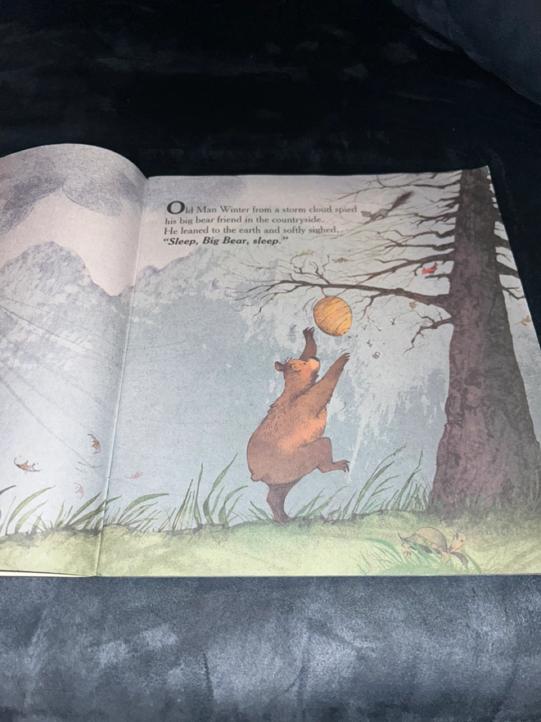 Sleep, Big Bear, Sleep! Book by Maureen Wright - photo 2