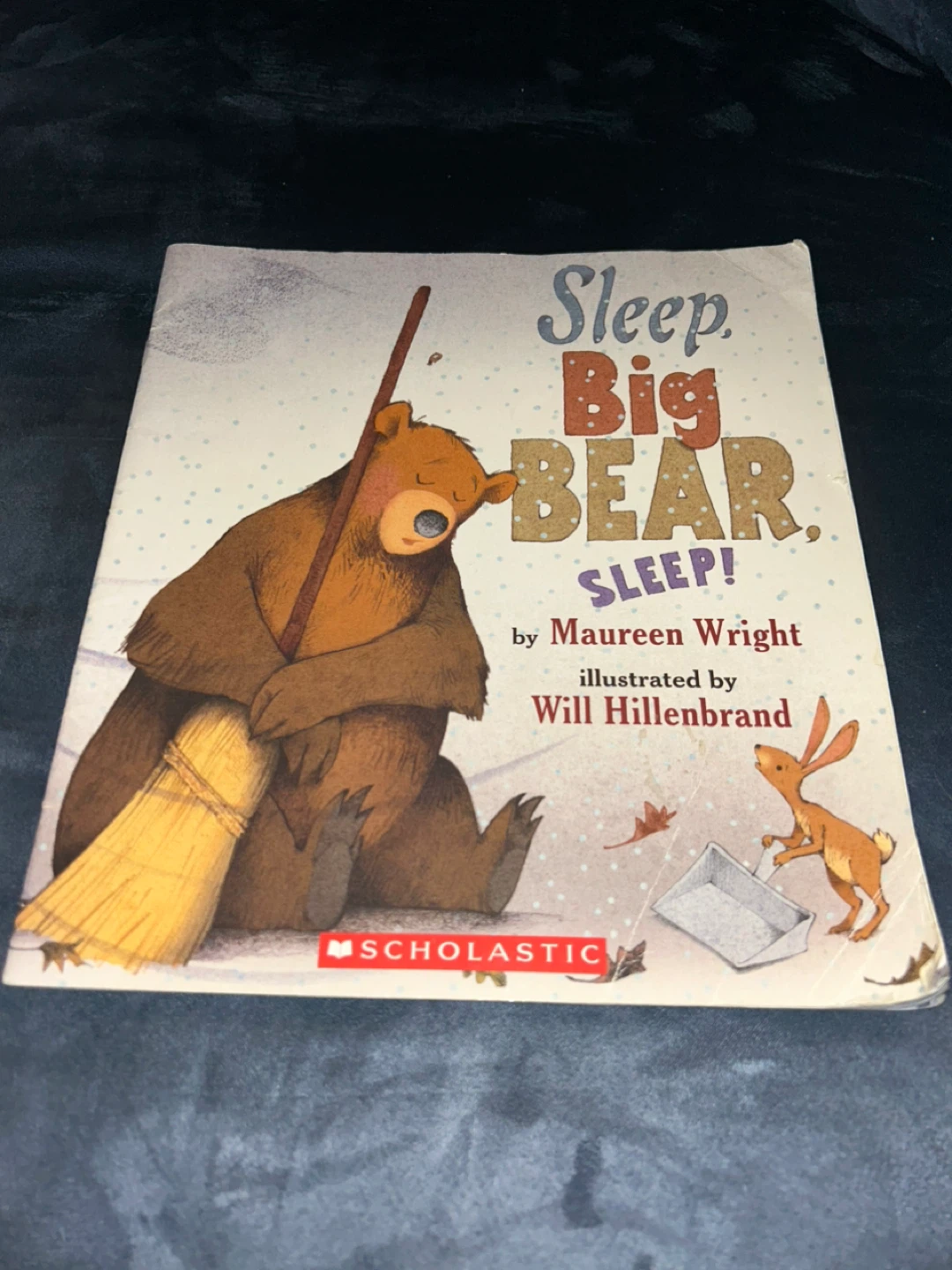 Sleep, Big Bear, Sleep! Book by Maureen Wright