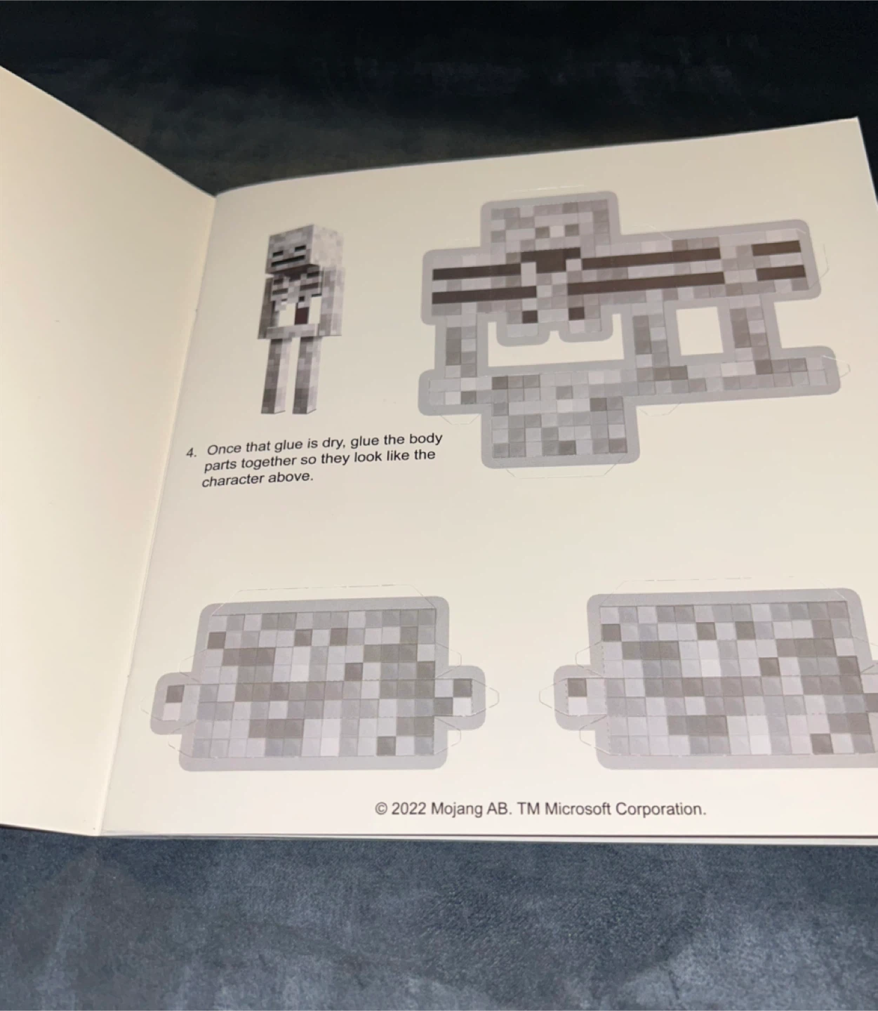Minecraft I Survived A Skeleton! Pictureback Book - photo 2