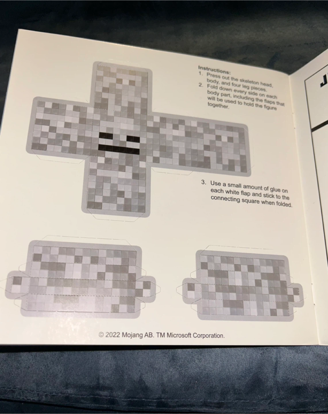 Minecraft I Survived A Skeleton! Pictureback Book - photo 3