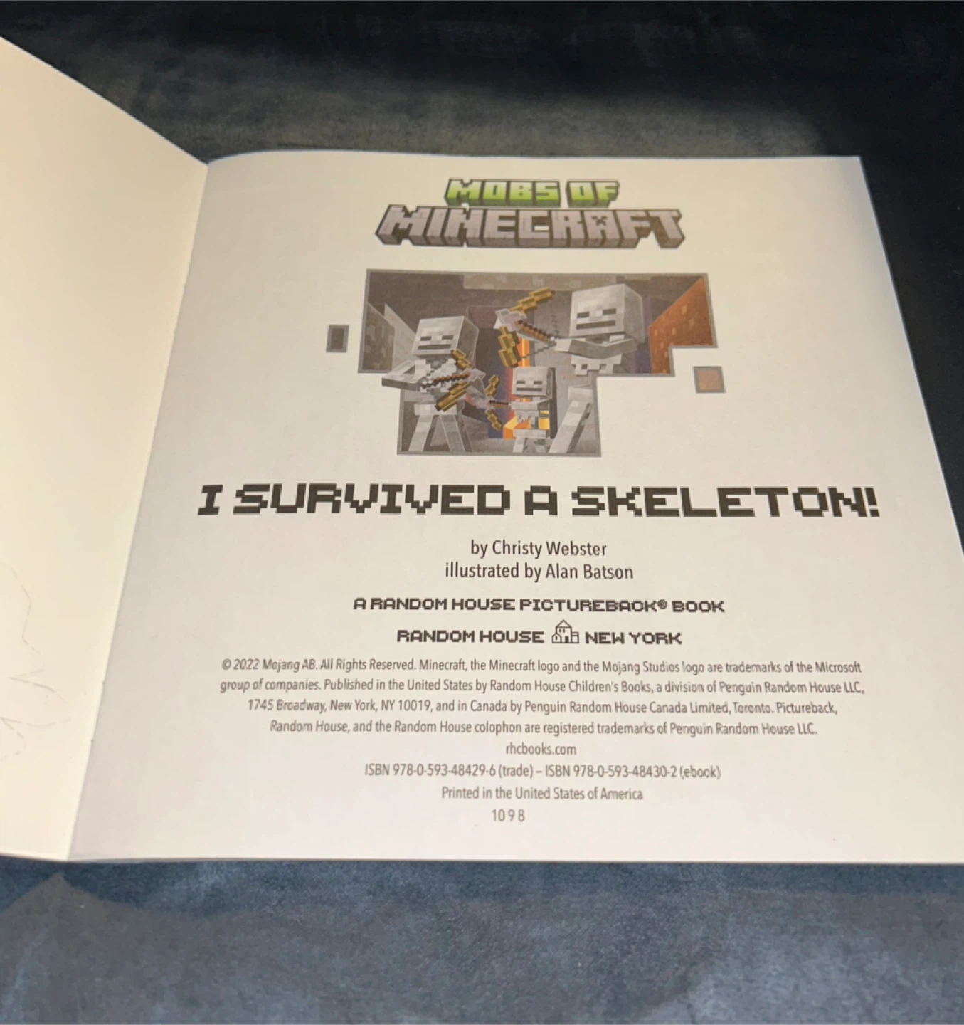 Minecraft I Survived A Skeleton! Pictureback Book - photo 4