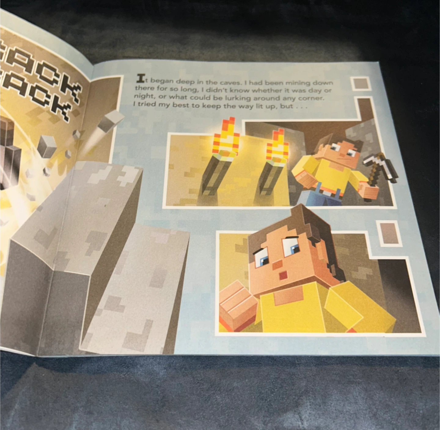 Minecraft I Survived A Skeleton! Pictureback Book - photo 5