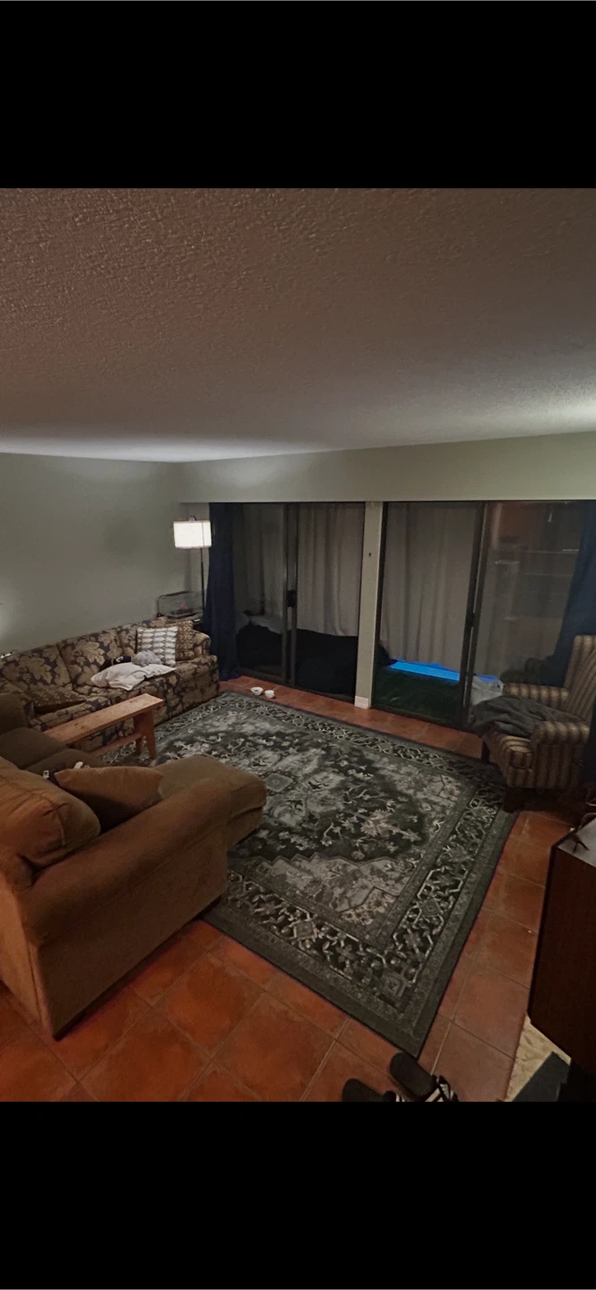 Large Rug 7x10 - photo 4