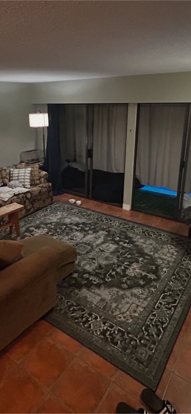 Large Rug 7x10 - photo 3