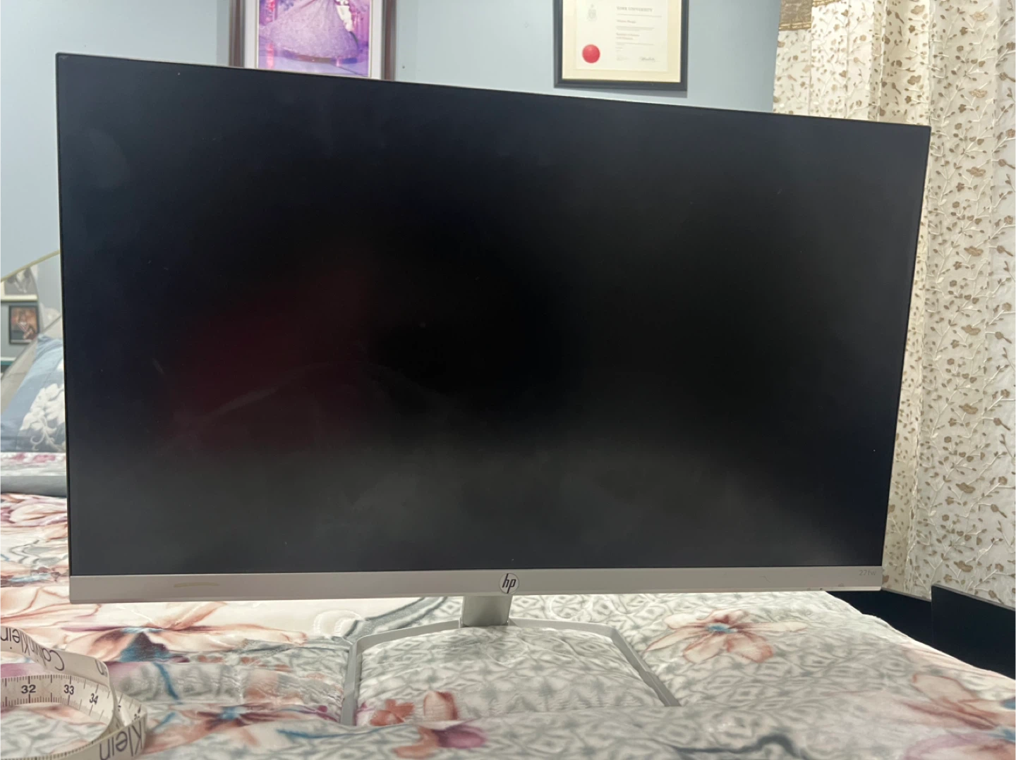 HP Monitor - photo 2