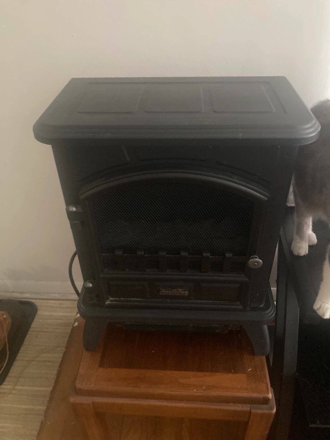 Electric Fireplace Heater 🥕