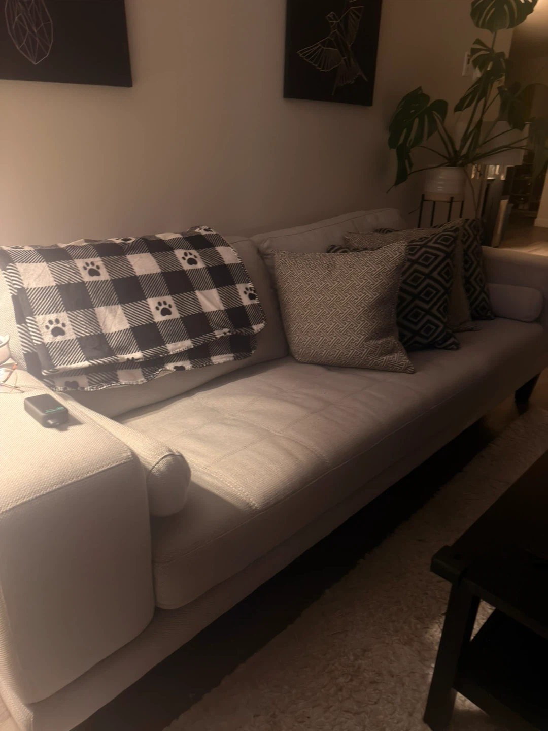 Grey Sofa with Decorative Pillows and Throw Blanket - photo 5