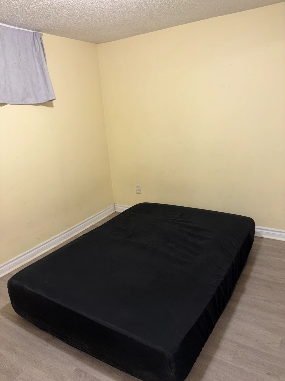 2 Bedroom Basement Apartment for rent. - photo 3
