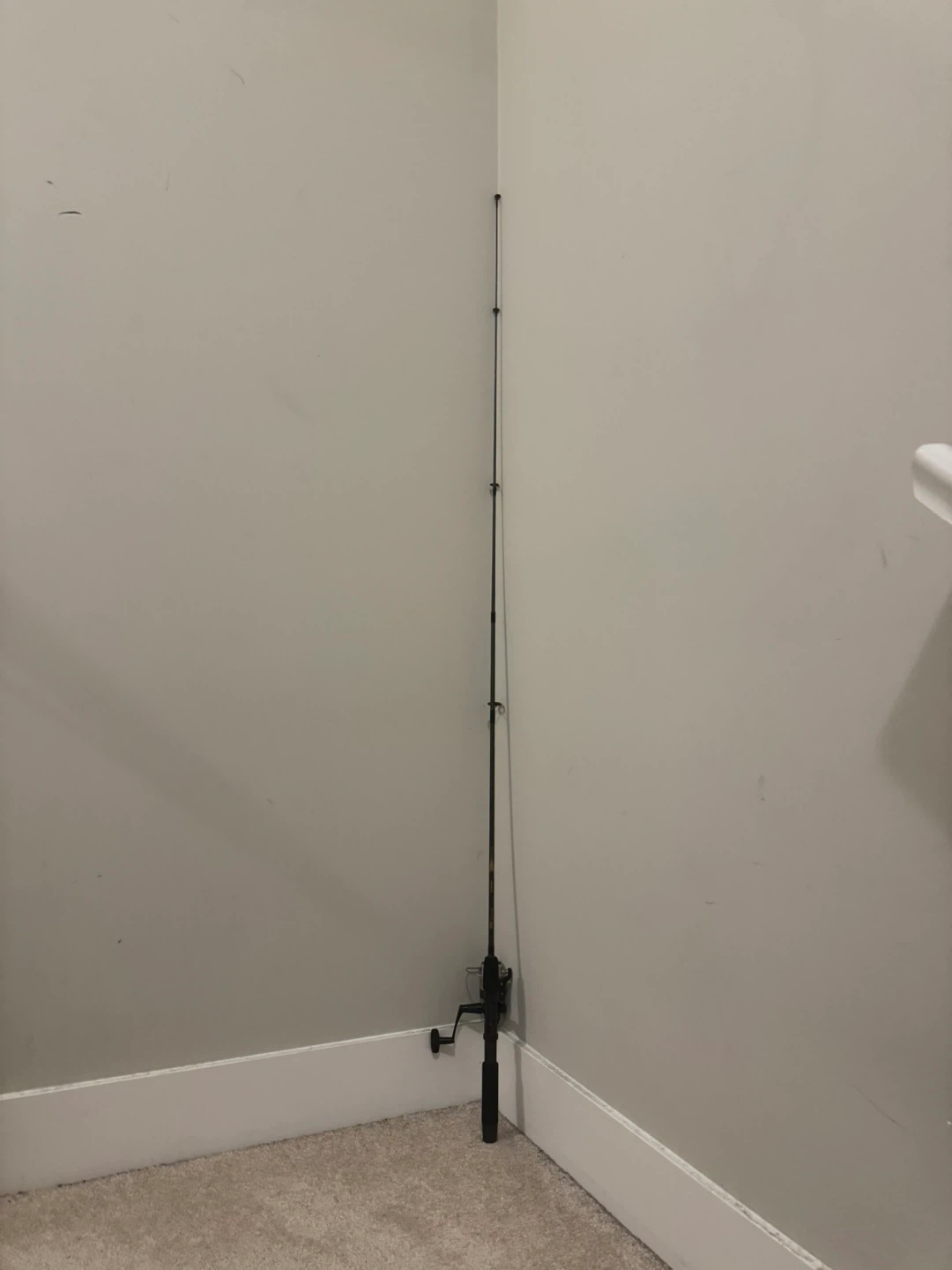 Shimano Fishing Rod + Reel Combo