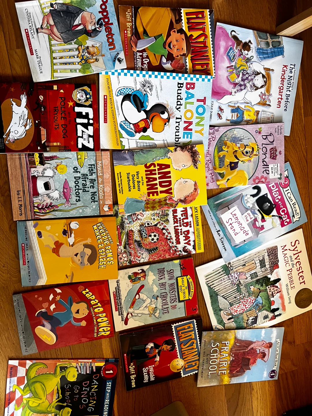 Assorted Children's Books Collection