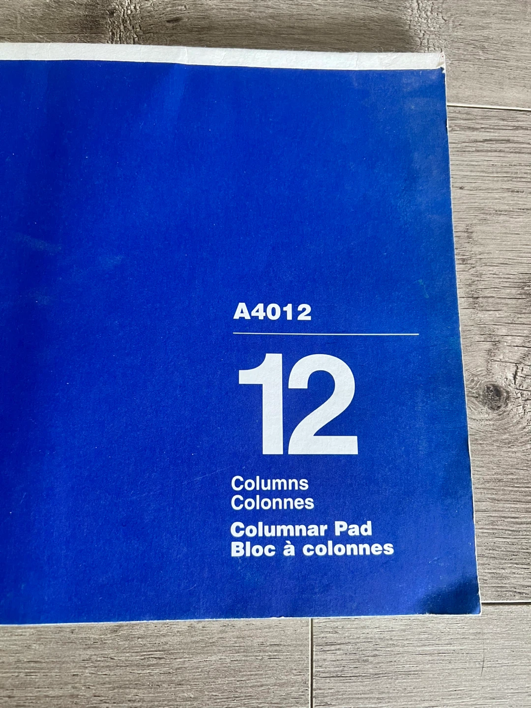 Blueline A4012 12 Columnar Pad - photo 3