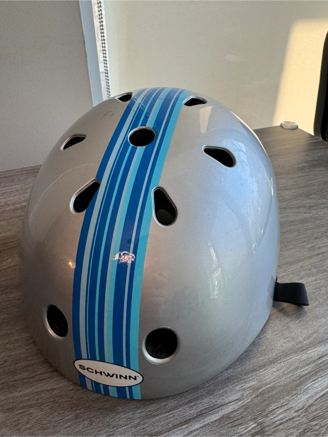 Schwinn Silver Bike Helmet with Blue Stripes