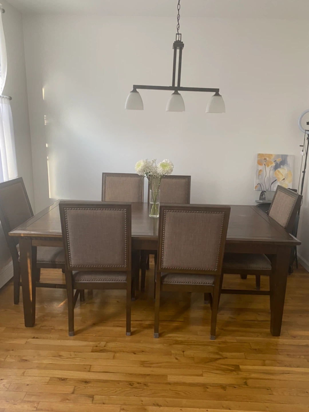 Wooden Dining Table Set with 6 Chairs
