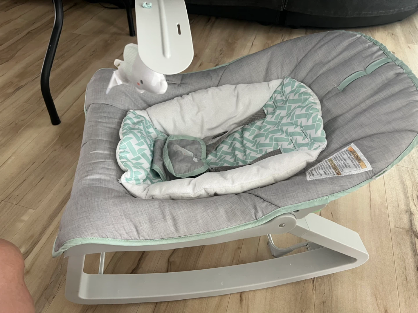 Fisher-Price Baby Seat - photo 2