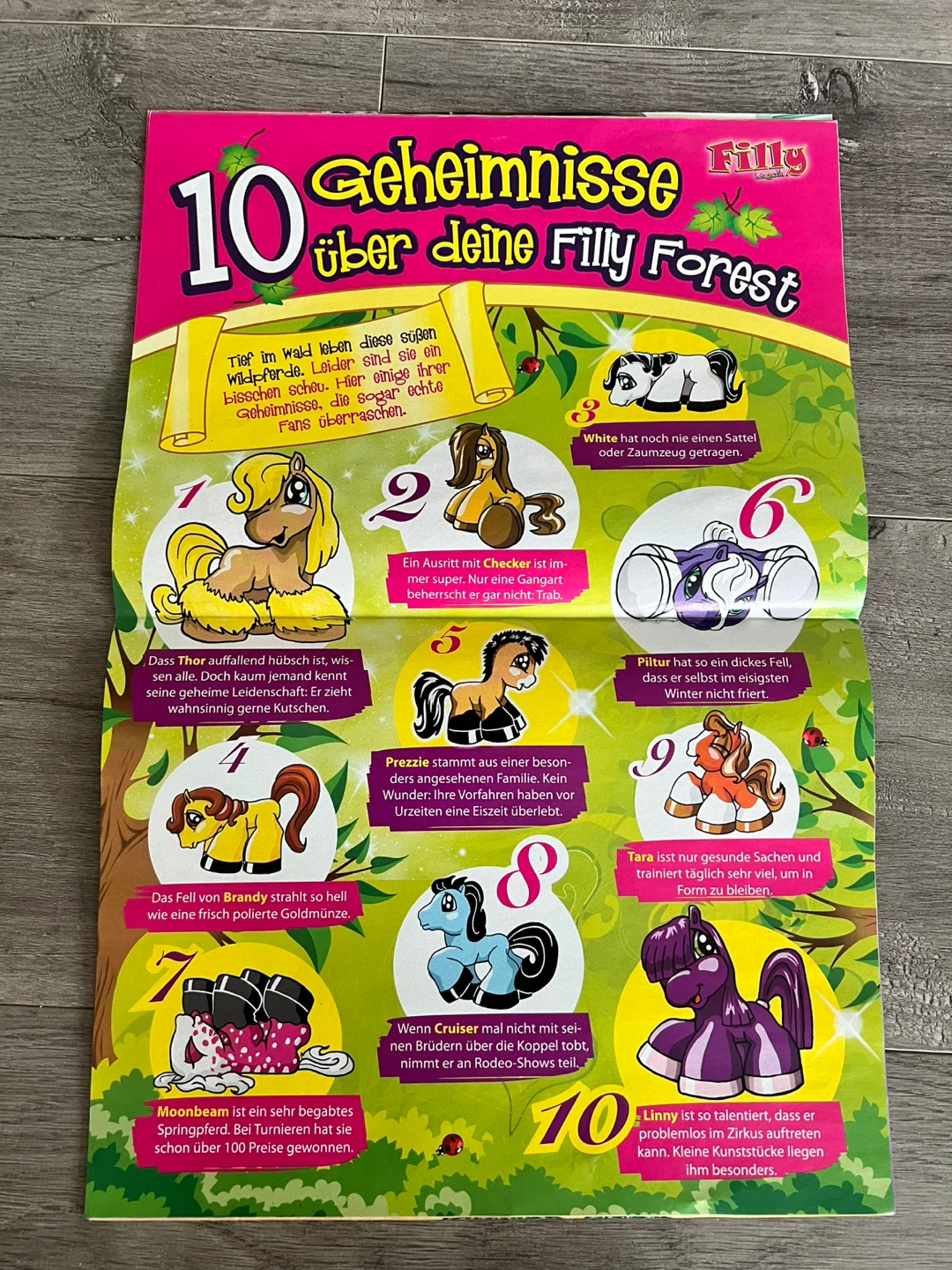 Filly German Magazine with Schedule Planner - photo 3