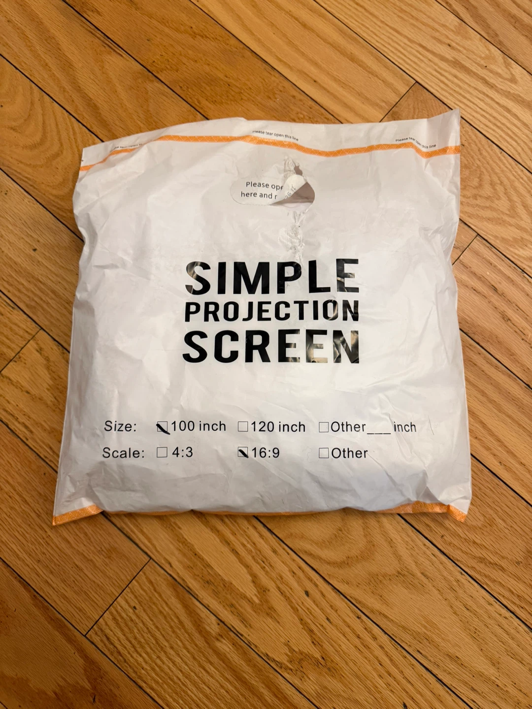 Simple Projection Screen - 100 inch