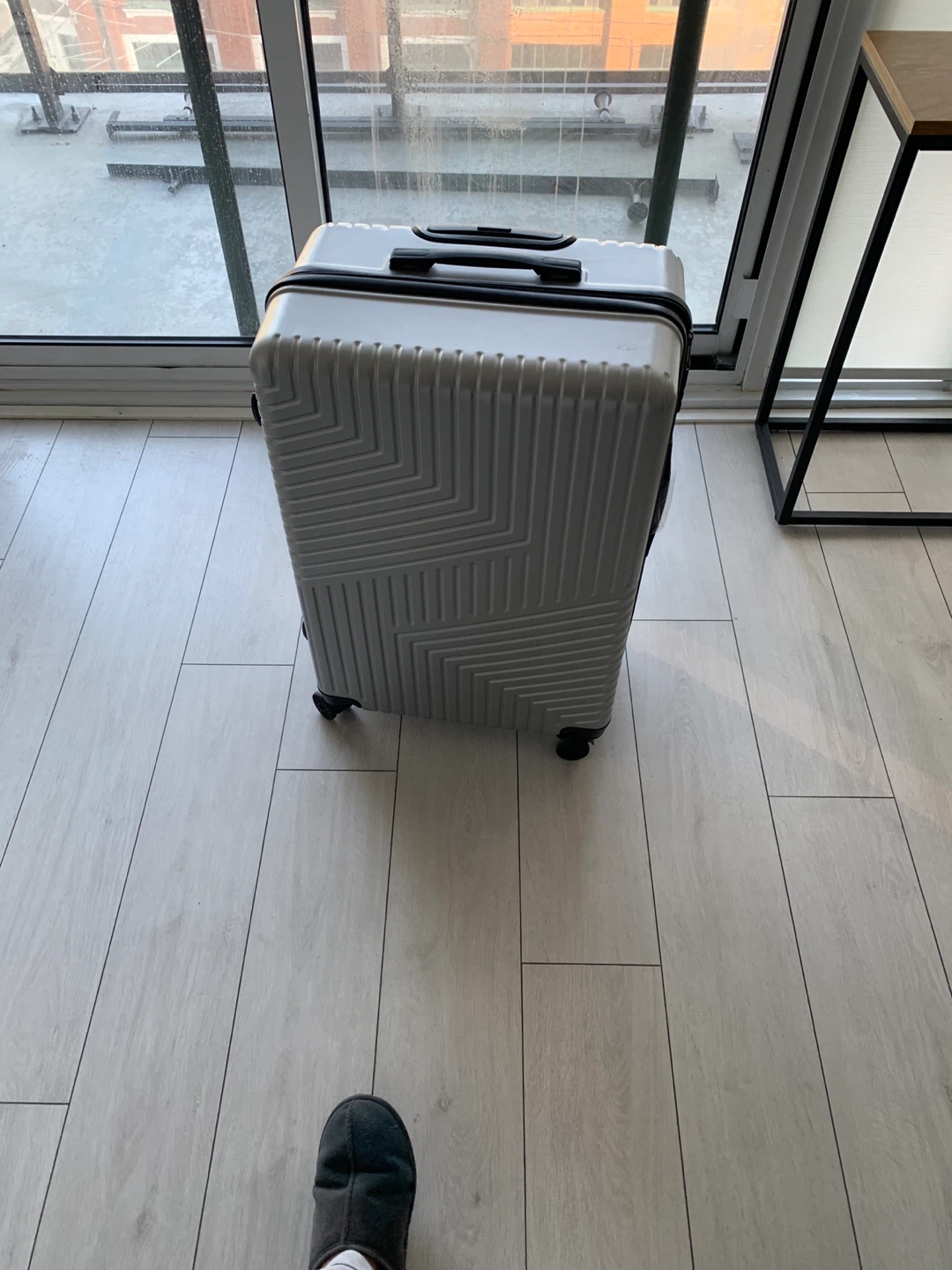 Large Silver Hardside Spinner Luggage