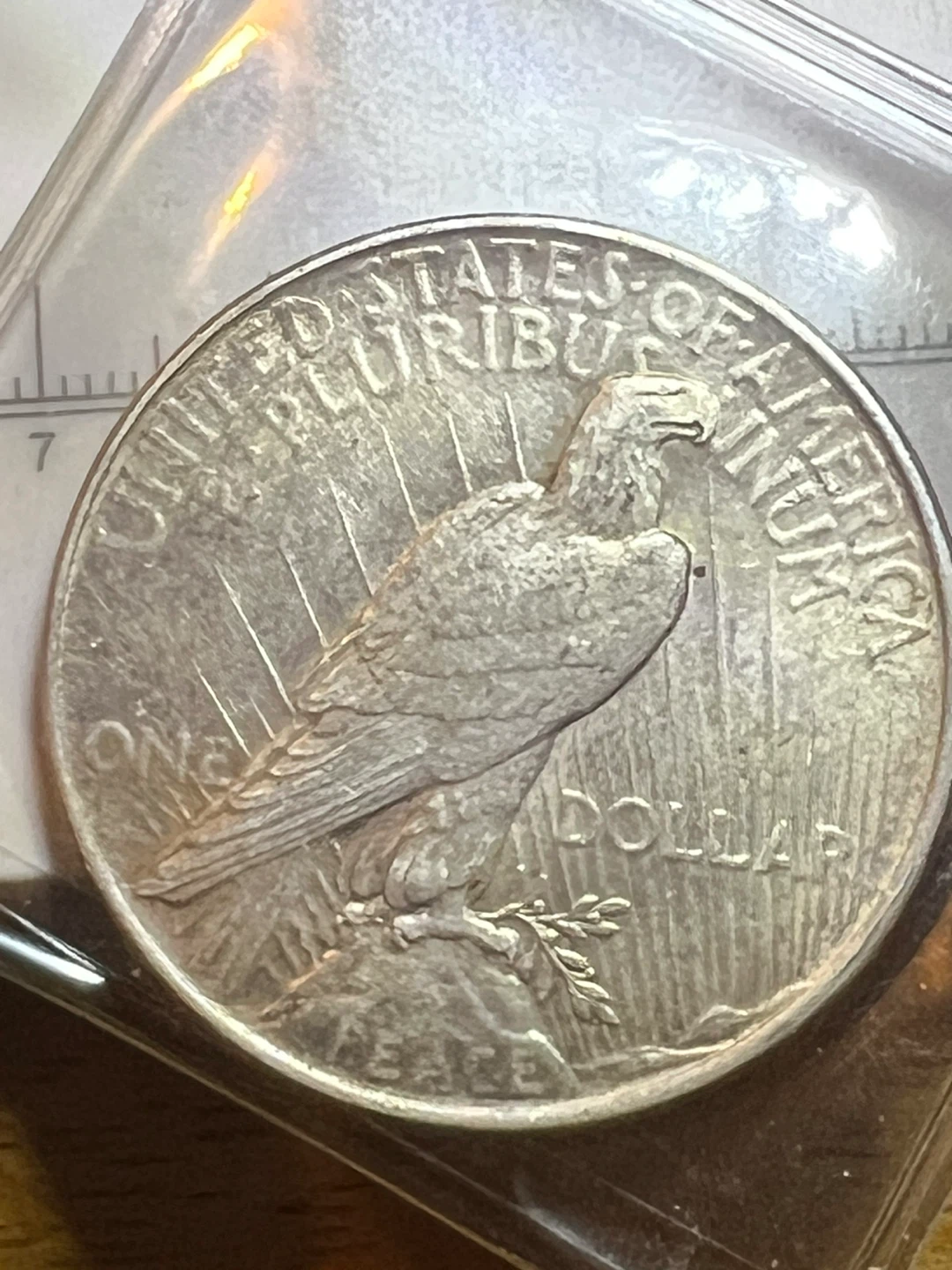 1922 Peace Silver Dollar - photo 4