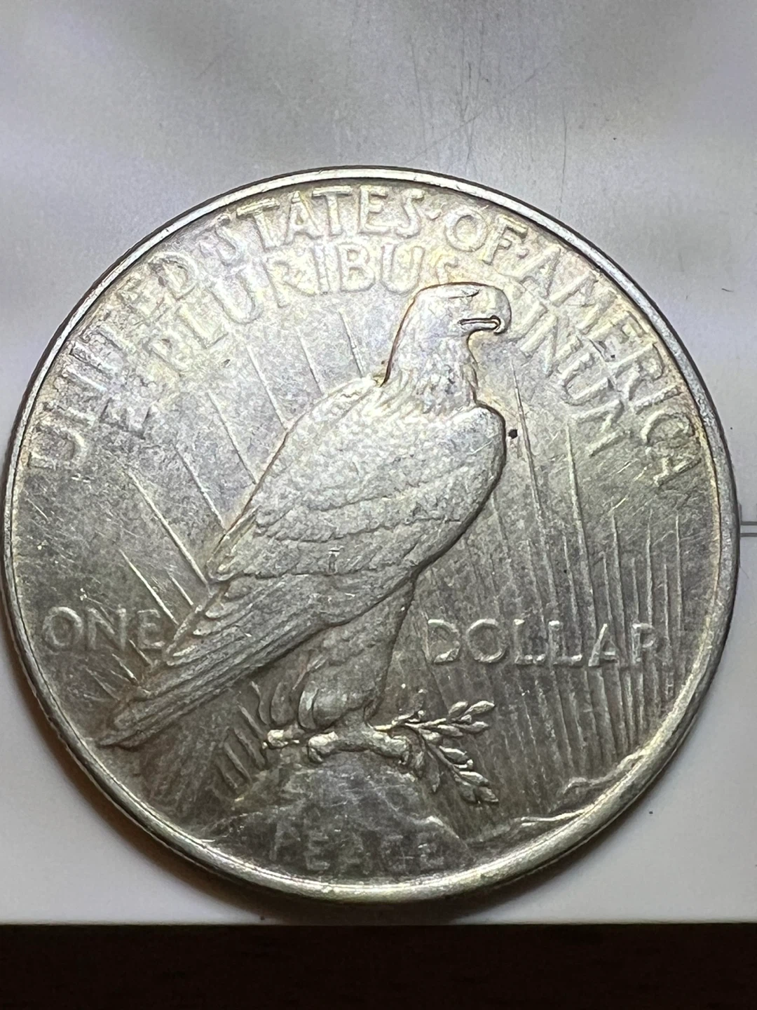 1922 Peace Silver Dollar - photo 2