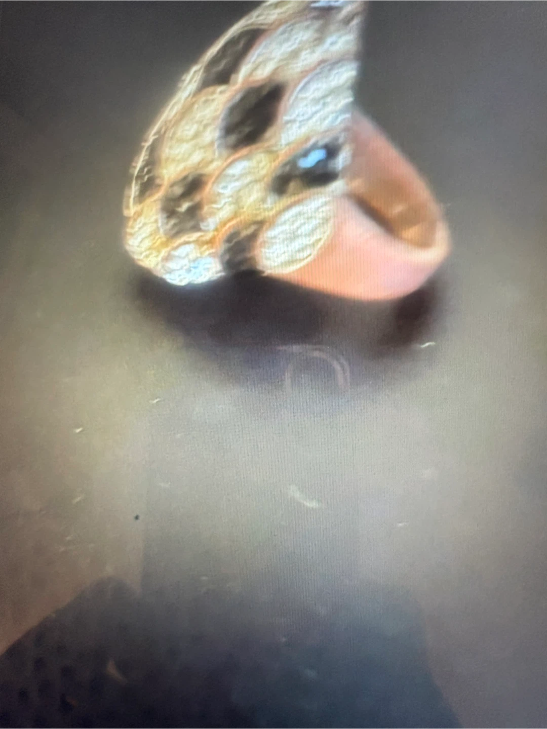 Bague - photo 2
